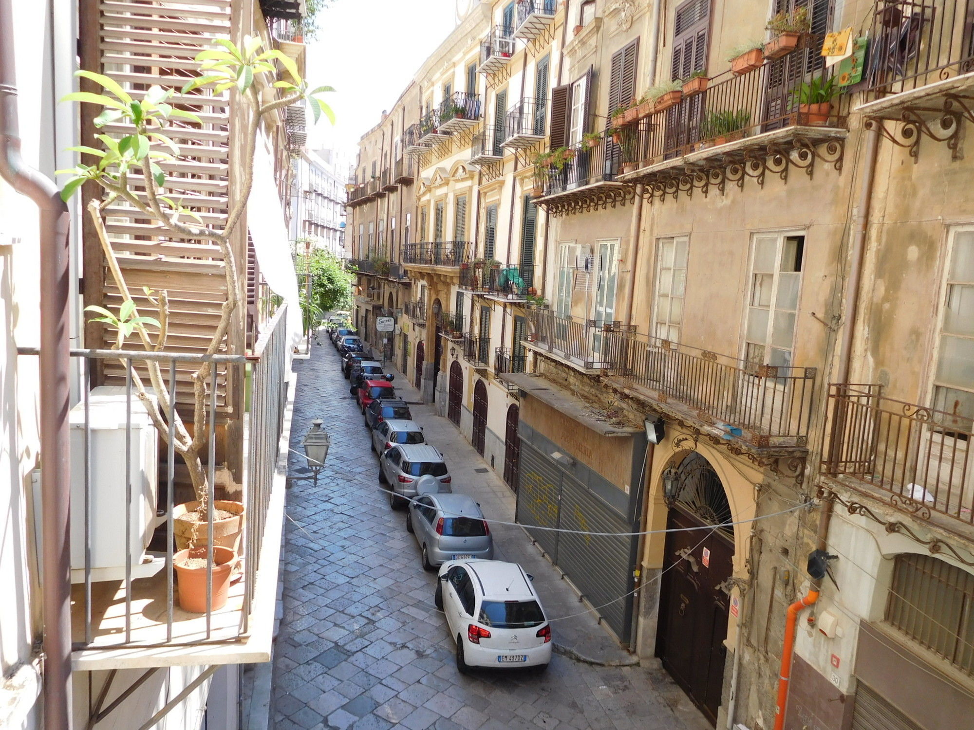 Ostello Exclusive Dependance Palermo Bagian luar foto